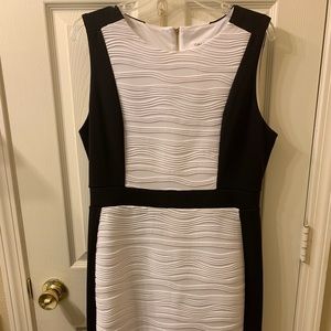 Calvin Klein Sheath Size 12 Dress